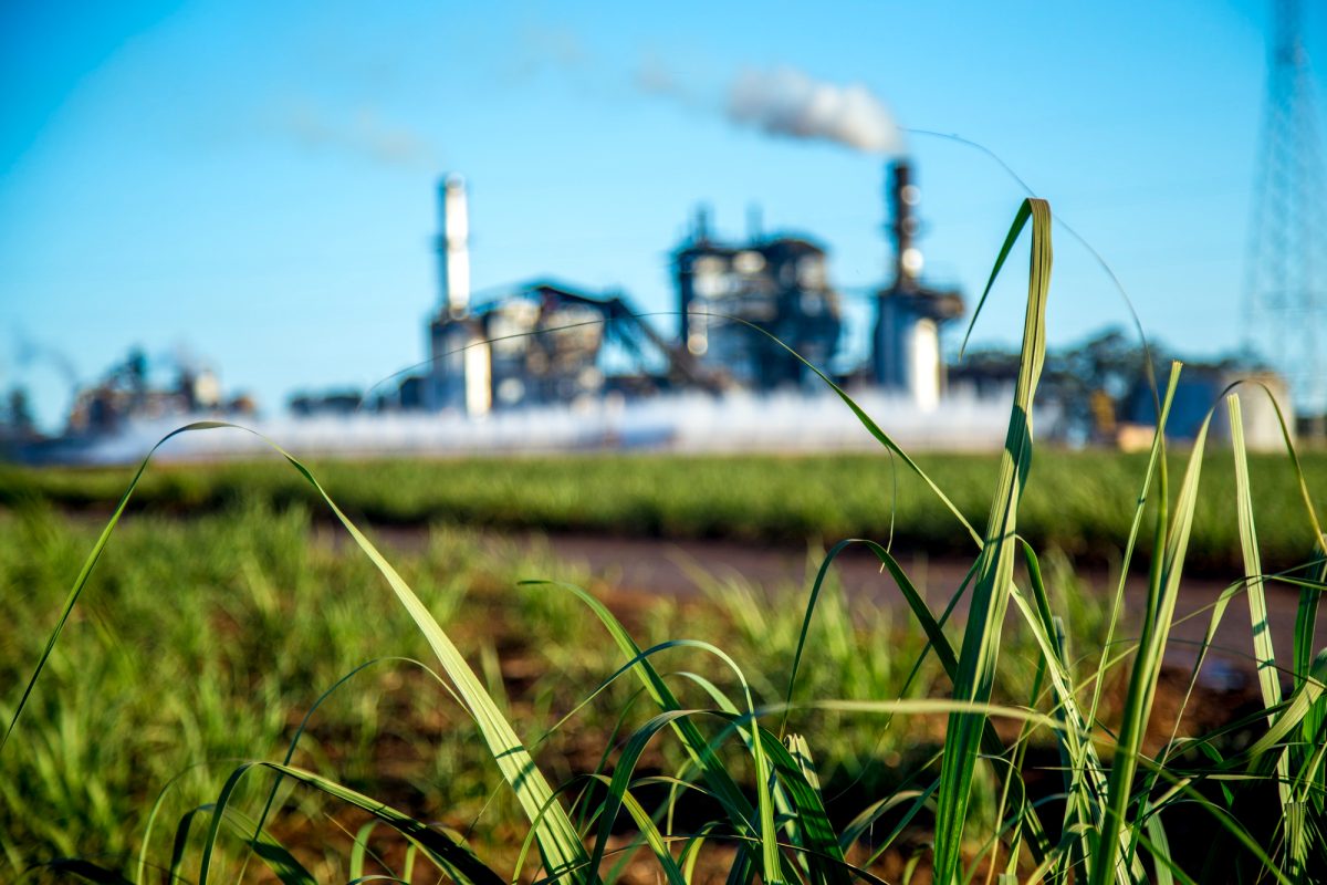 Décarbonation : sept PME marocaines sur dix déjà engagées, selon une enquête BEI/UE